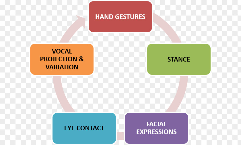 Dynamic Elements Cultural Diversity Multiculturalism Management Workforce PNG