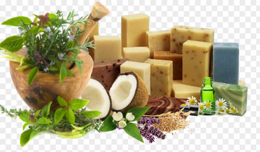 Organic Food Herb Medicinal Plants Ayurveda PNG