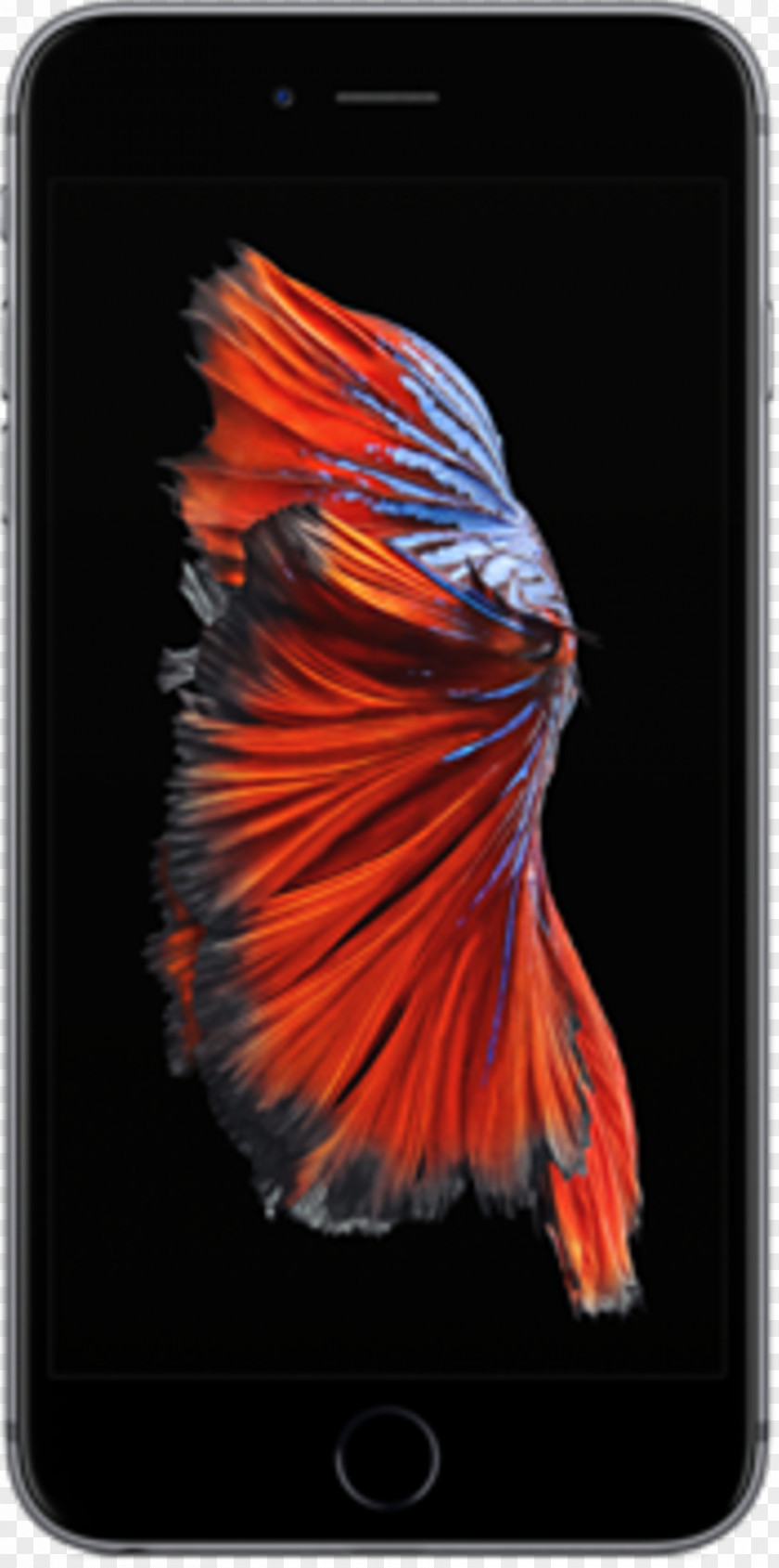 Betta IPhone 5 6 Plus 6s 7 8 PNG