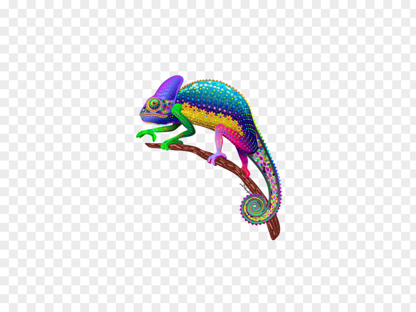Chameleon Chameleons Reptile Clip Art PNG