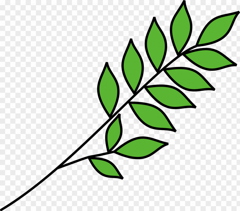 Cot Background Olive Branch Clip Art Drawing Image Vector Graphics PNG