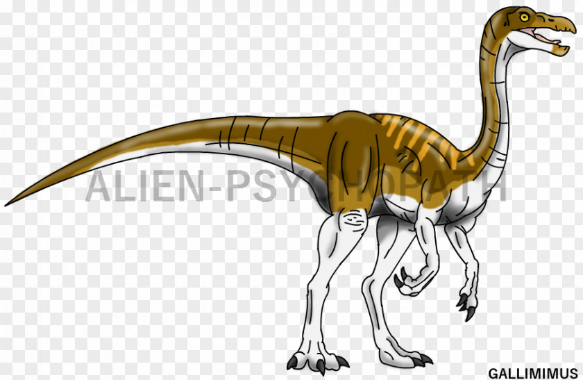 Dinosaur Vector Gallimimus Velociraptor Tyrannosaurus Dilophosaurus PNG