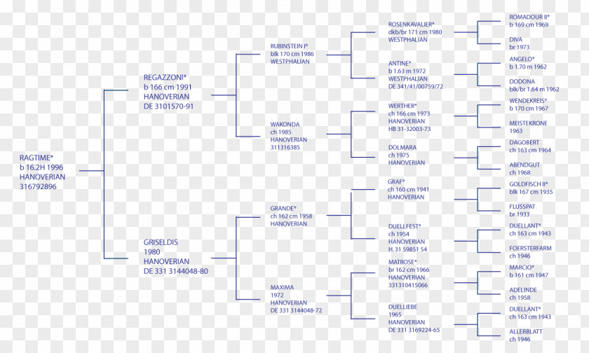 Futurity First Document Line Angle PNG