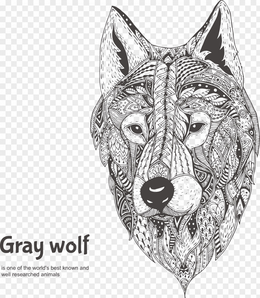 Hand-painted Pattern Positive Face Gray Wolf Drawing Illustration PNG