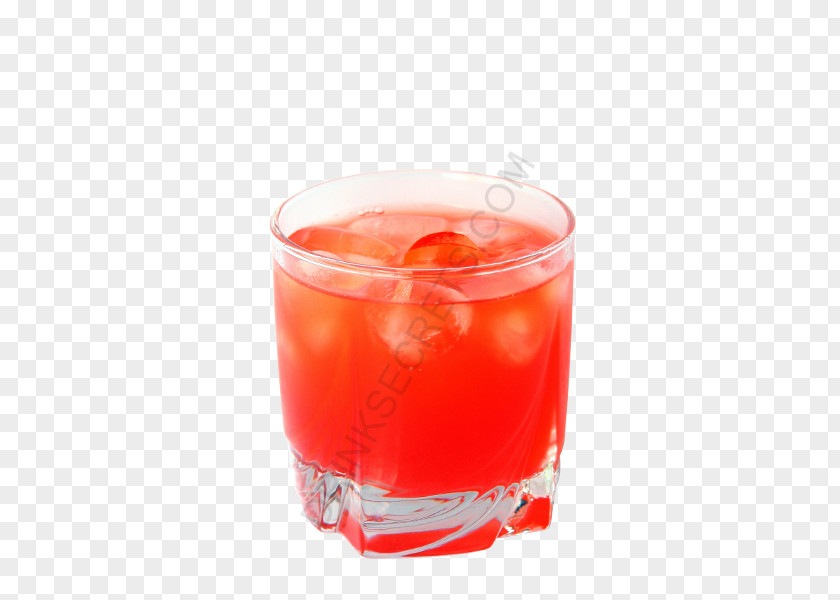Happily Ever After Bay Breeze Woo Sea Negroni Cocktail Garnish PNG