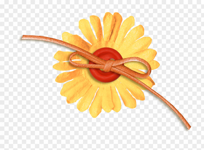Orange Flower Rope Google Images Download Icon PNG