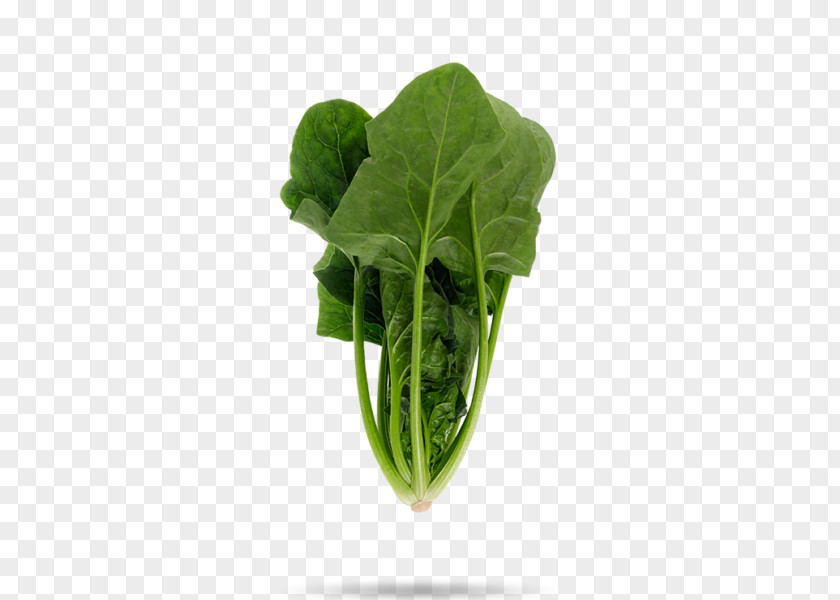 Spinach Leaf Vegetable Food Komatsuna PNG