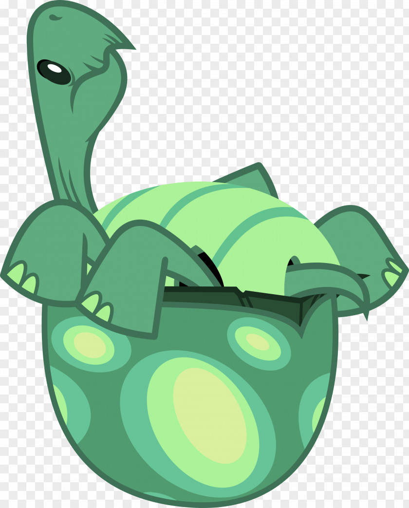 Tortoide Turtle Rainbow Dash Tortoise Reptile May The Best Pet Win! PNG