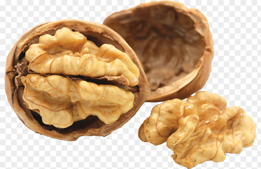 Walnut Raw Foodism Nutrition Diet PNG