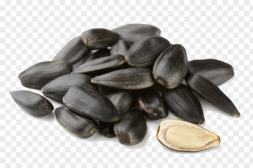 Black Melon Seeds Common Sunflower Seed Stock Photography Snack PNG
