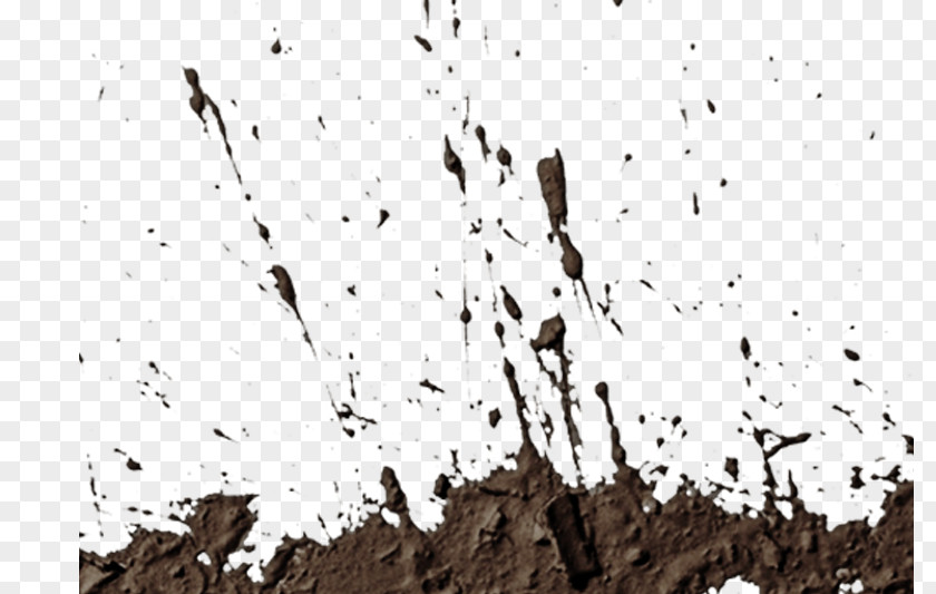 Boot Willi-Wood, Die Holzmanufaktur Mud PNG