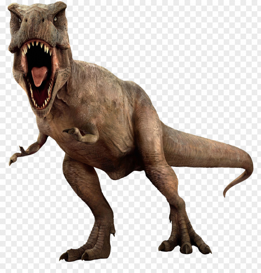 Dinosaur Tyrannosaurus Triceratops PNG