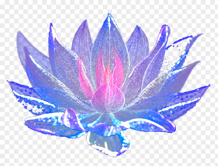 Dream Blue Blooming Flowers Flower PNG