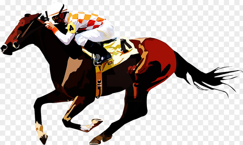 Horse Animal Sports Jockey Rein Supplies PNG