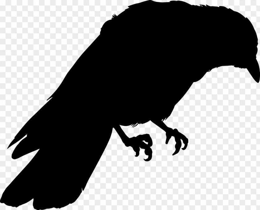 Raven Common Drawing Silhouette Art PNG