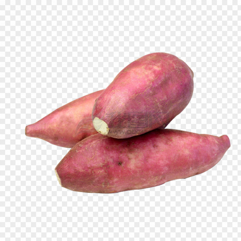 Sweet Potato Root Vegetables Tuber PNG