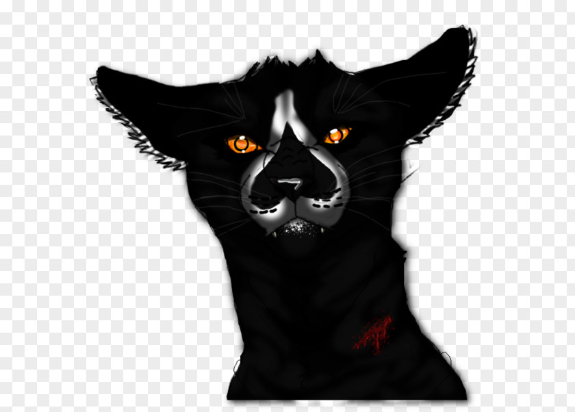 Angry Black Cat Print Whiskers Art Super Edition Series Dog PNG