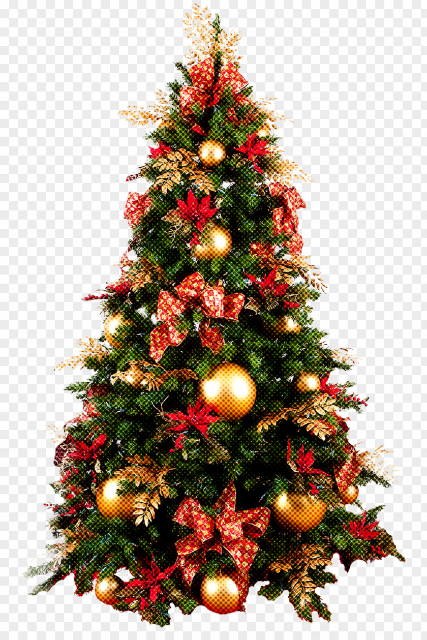 Fir Plant Christmas Tree PNG