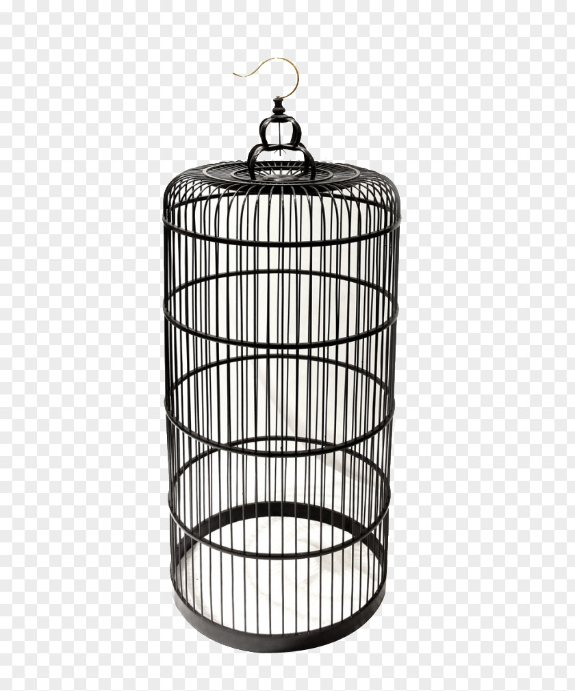 Iron Cage Birdcage PNG