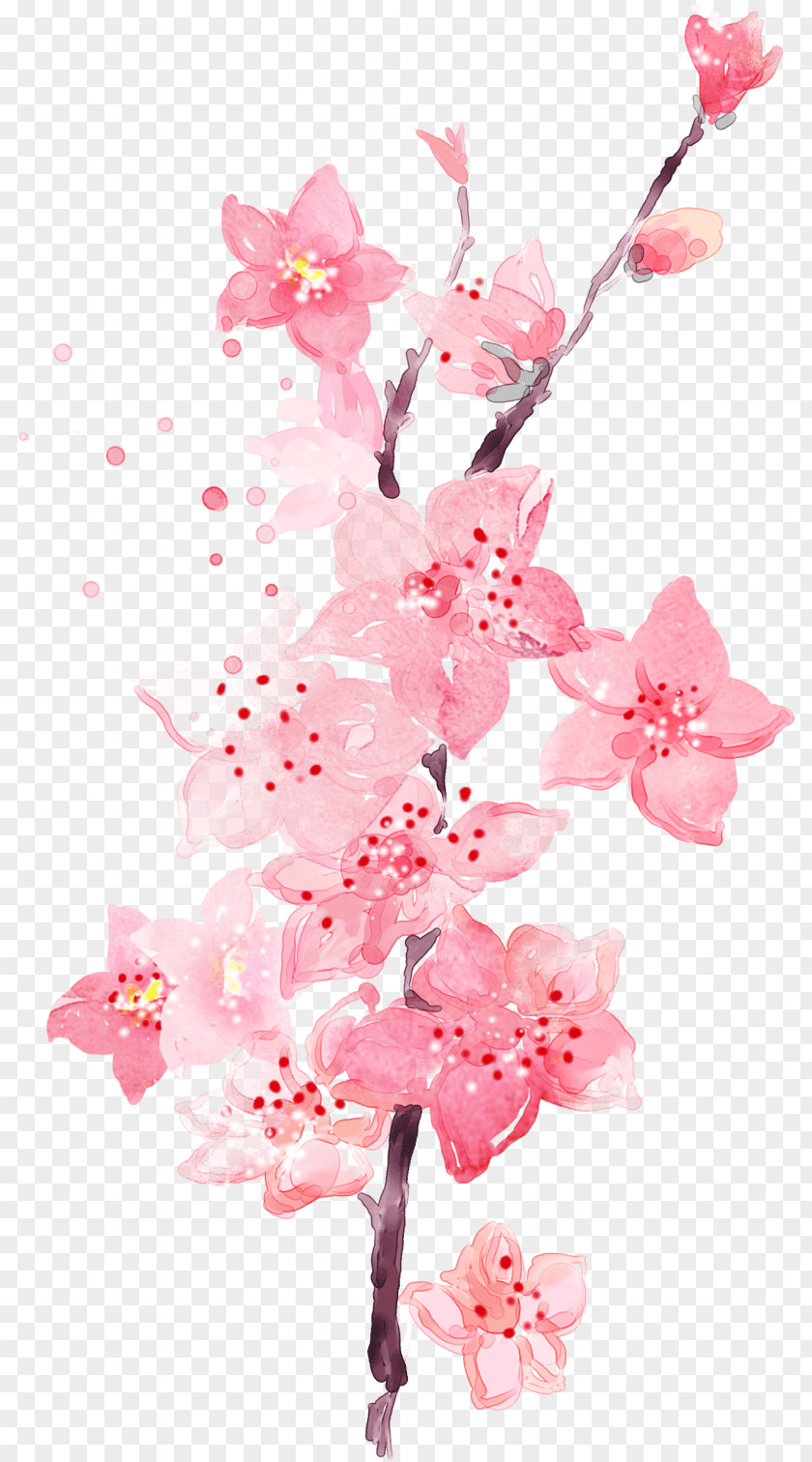 Minnow Pink Flowers Floral Design Desktop Wallpaper Clip Art PNG