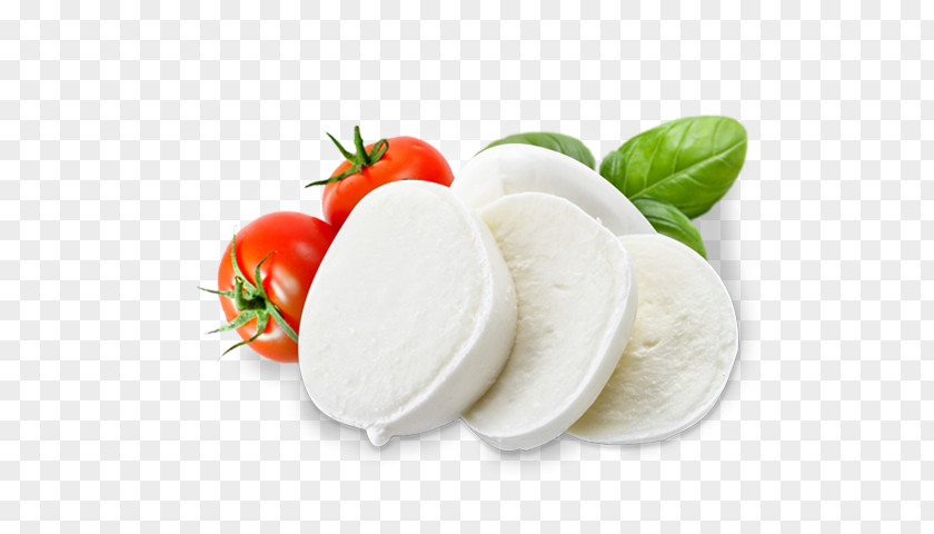 Mozzarella Cheese Beyaz Peynir Processed Diet Food PNG