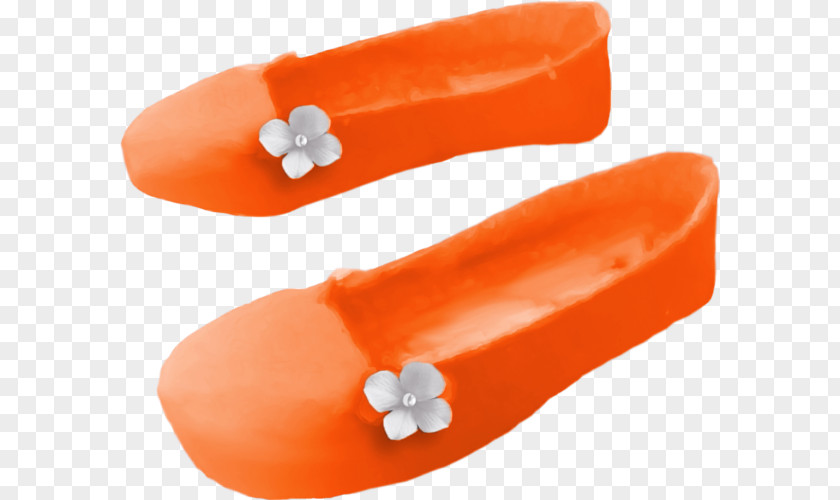 Slipper Shoe Centerblog PNG