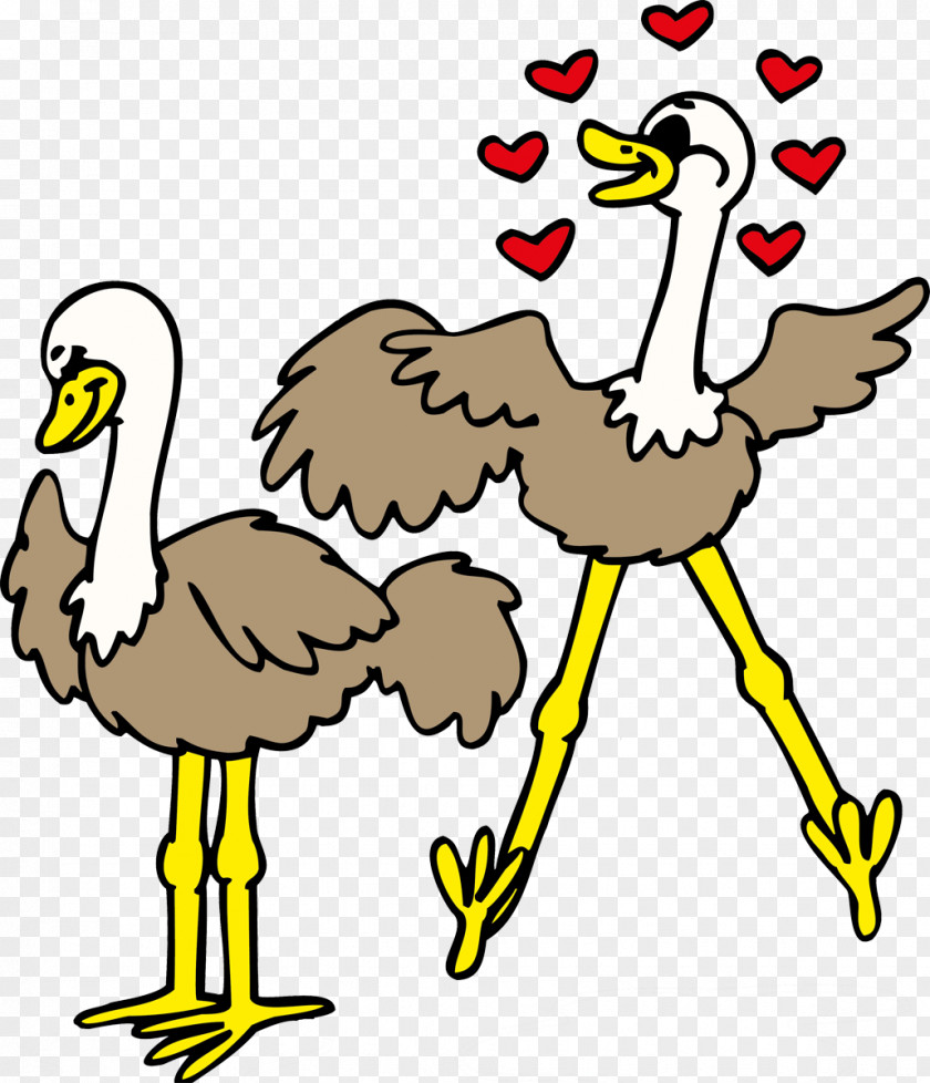 Stork Flightless Bird Common Ostrich Clip Art PNG