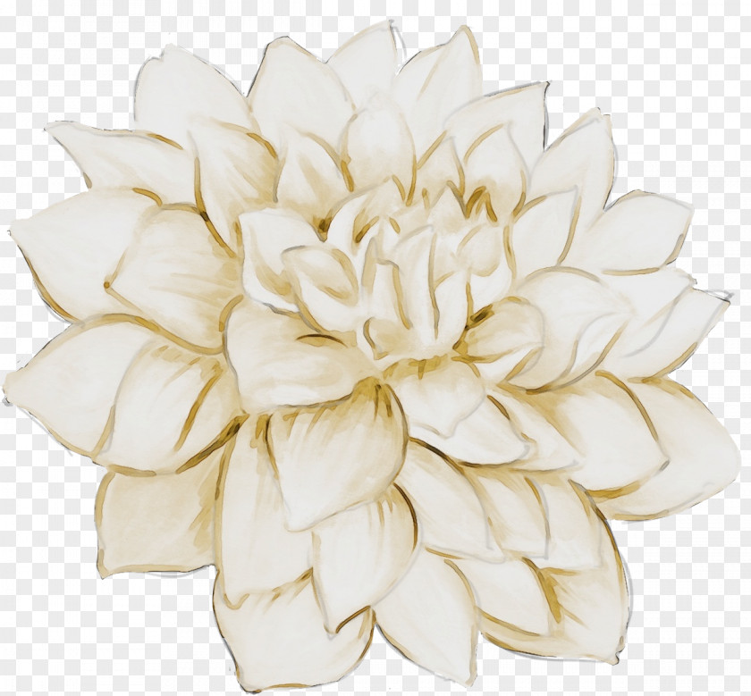 Artificial Flower Cut Flowers PNG