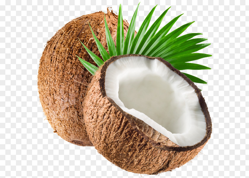 Coconut Water Organic Food Oil PNG