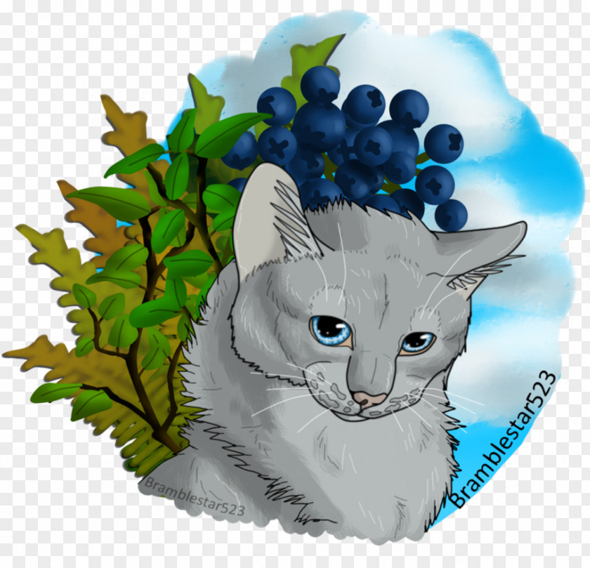 Kitten Whiskers Korat Dovewing Warriors PNG