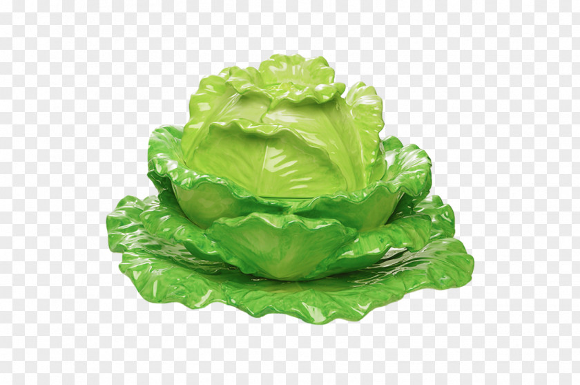 Lettuce Tureen Leaf Vegetable Food PNG