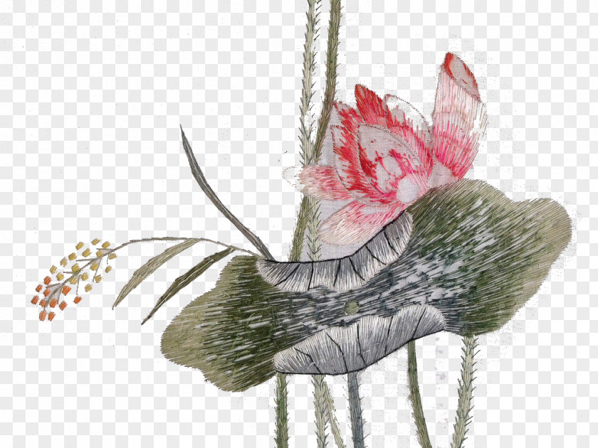 Lotus Decoration U82cfu7ee3u56feu6848 Embroidery Lingshi County Illustration PNG