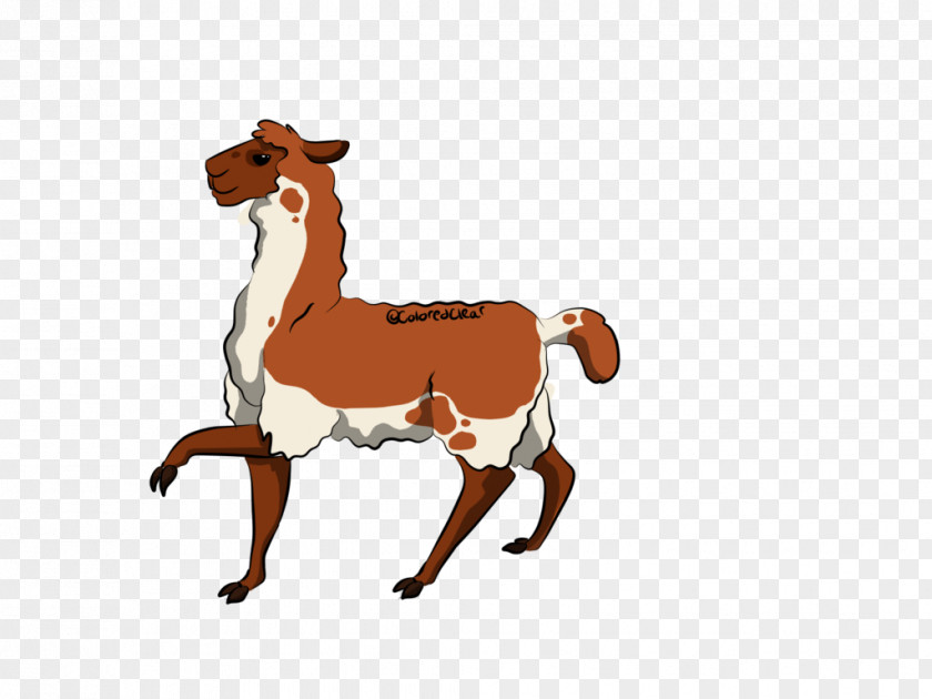 Mustang Camel Cattle Mane Deer PNG