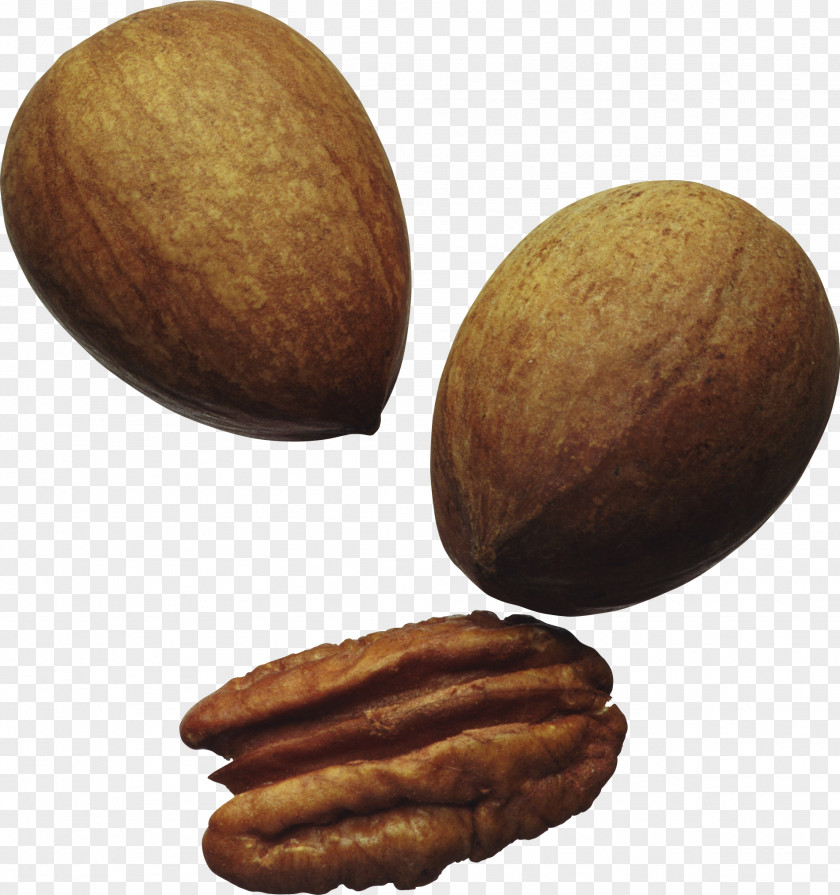 Nuts Carrot Cake Walnut Seed PNG