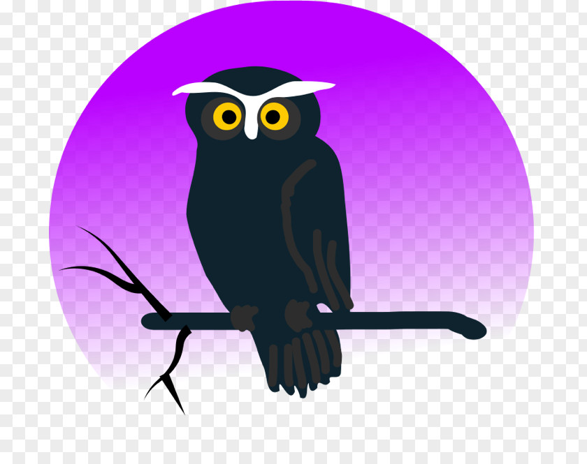 Vector Birds Owl Animation Clip Art PNG
