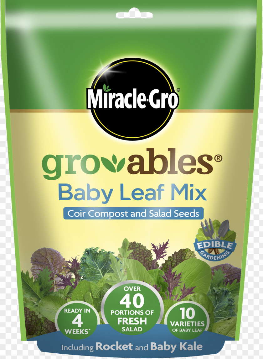 Vegetable Mesclun Caesar Salad Herb Vegetarian Cuisine Miracle-Gro PNG