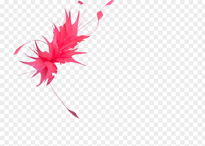 Leaf Petal Flowering Plant PNG