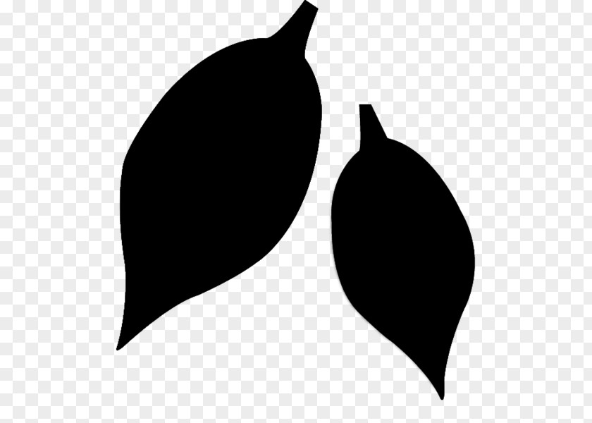 M Product Produce Leaf Pest Black & White PNG