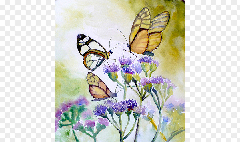 Watercolor Butterfly Monarch Painting Insect PNG