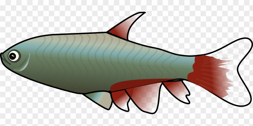 Fishing Fish Clip Art PNG