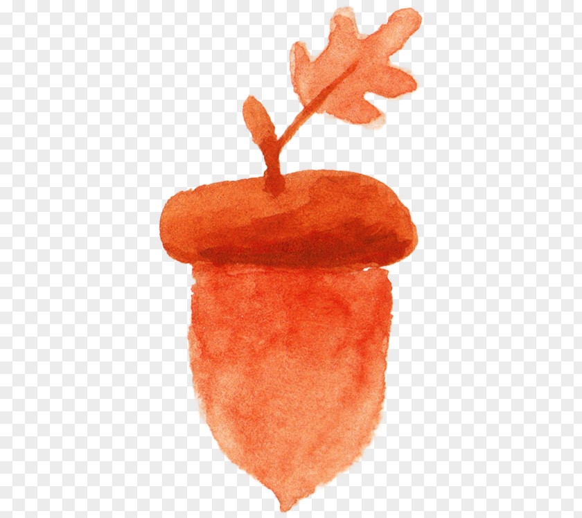 Acorn Watercolor Painting Orange PNG