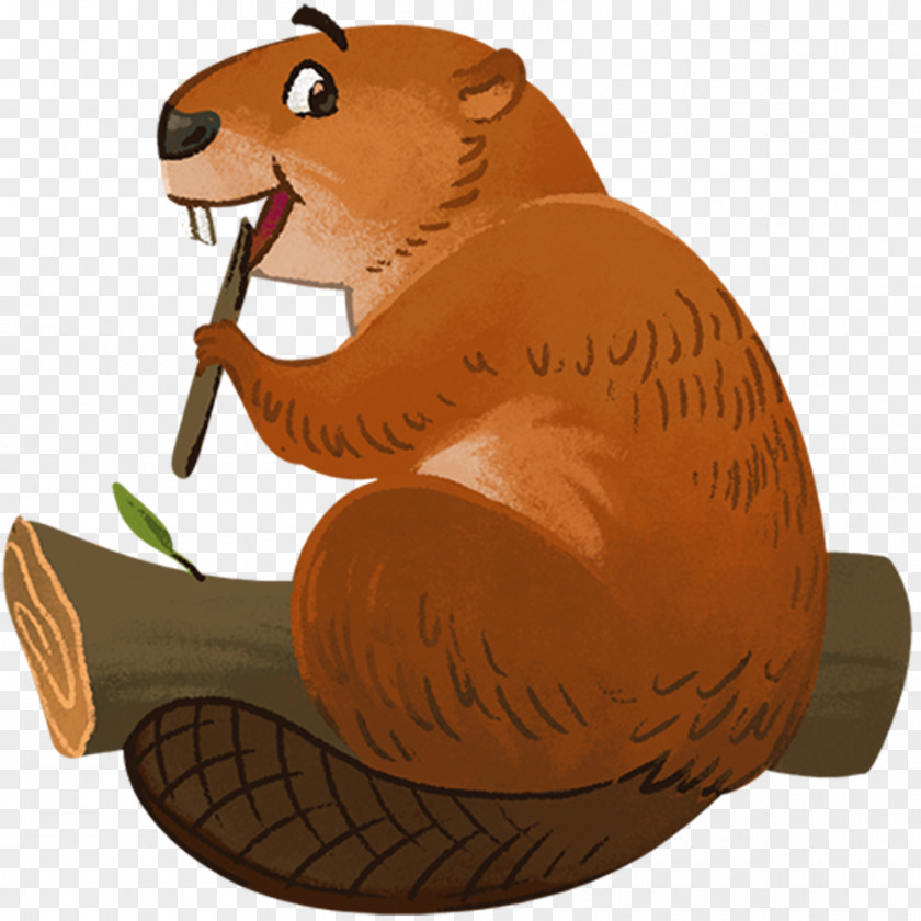 American Rodent Beaver Bear United States PNG