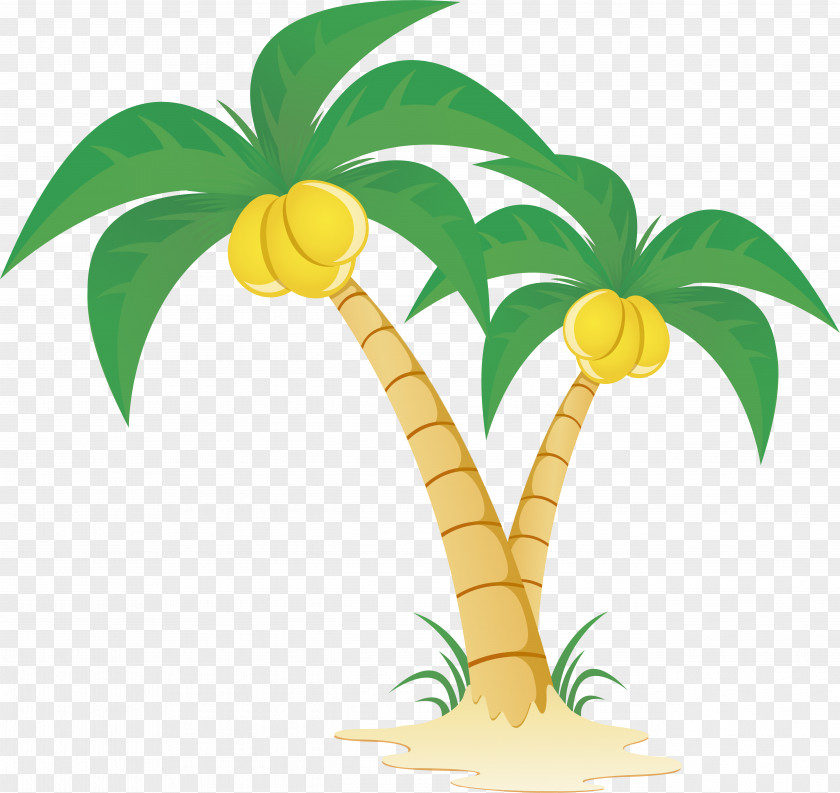 Coconut Tree Vector Material Arecaceae Clip Art PNG