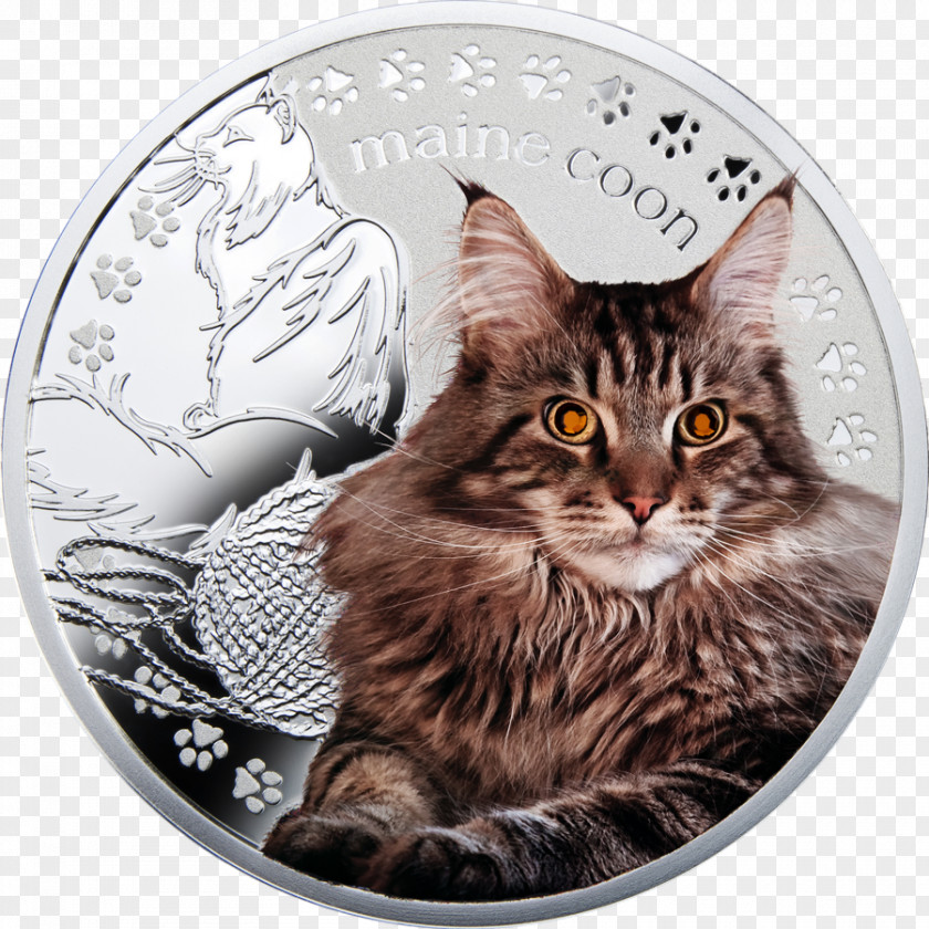 Coin Maine Coon Norwegian Forest Cat Dragon Li Whiskers Domestic Short-haired PNG