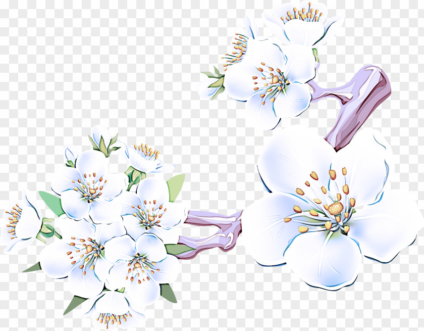 Flower Plant Lilac Petal Blossom PNG