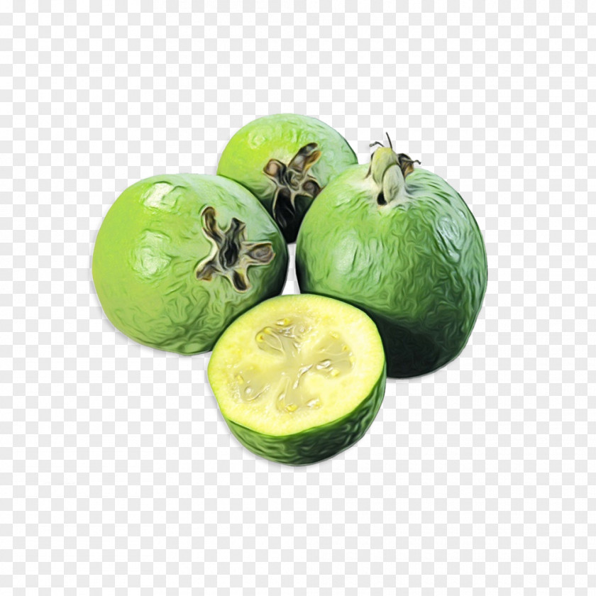 Guava Persian Lime Vegetable Cartoon PNG