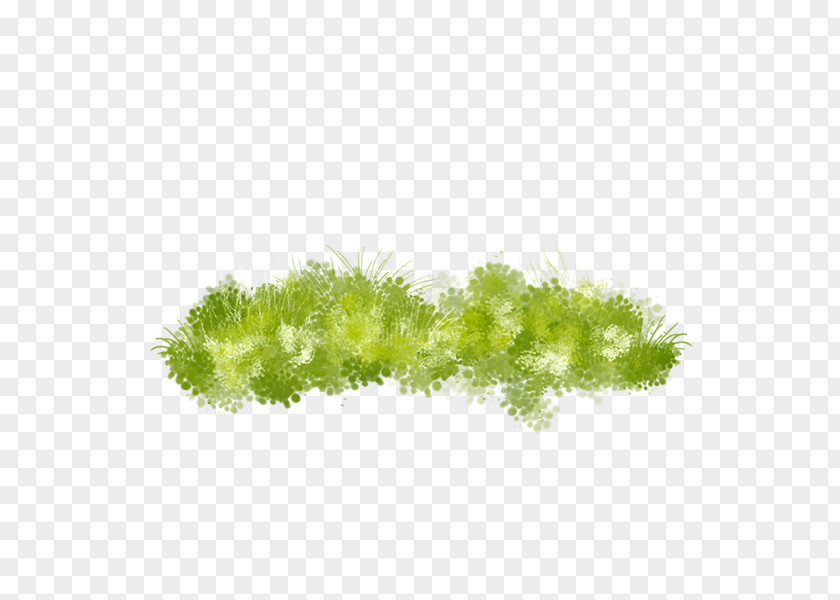 Hand-painted Grass PNG