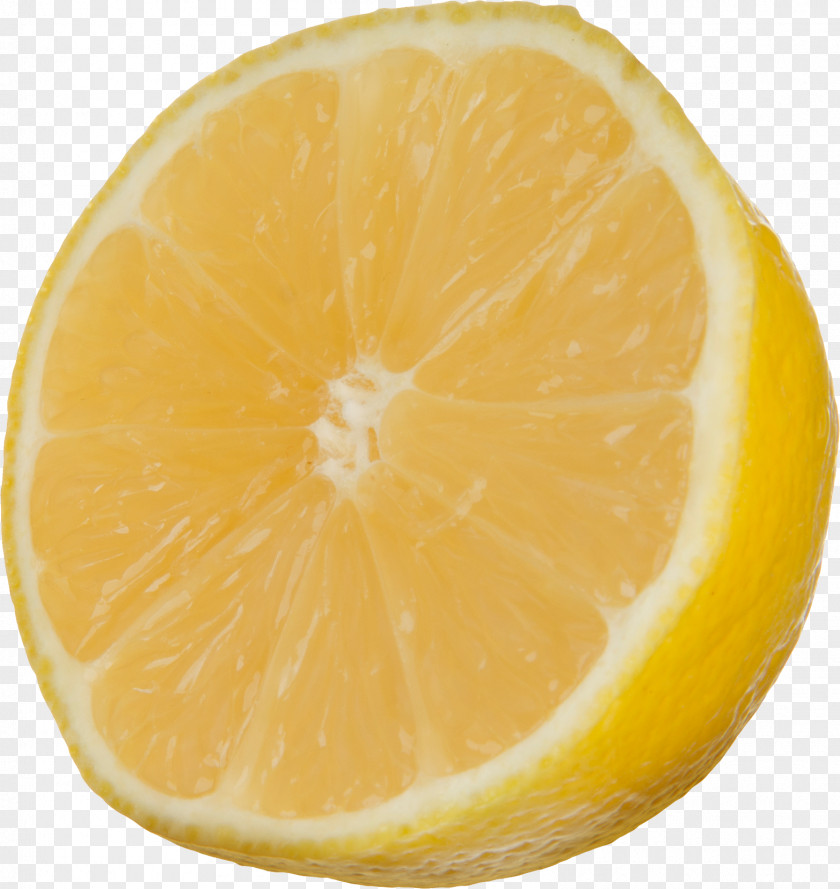 Lemon Volkamer Aqua Velva Tangelo Grapefruit PNG