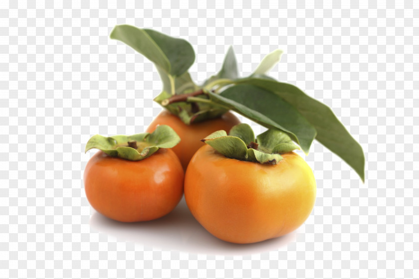 Persimmon Japanese Food Fruit Tree PNG