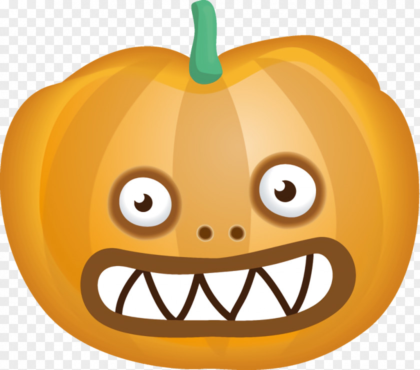 Plant Fruit Jack-o-Lantern Halloween Carved Pumpkin PNG